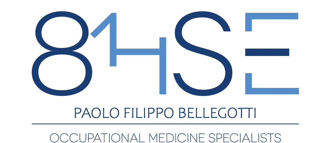 81HSE – Trouble Management Logo